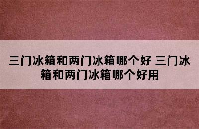 三门冰箱和两门冰箱哪个好 三门冰箱和两门冰箱哪个好用